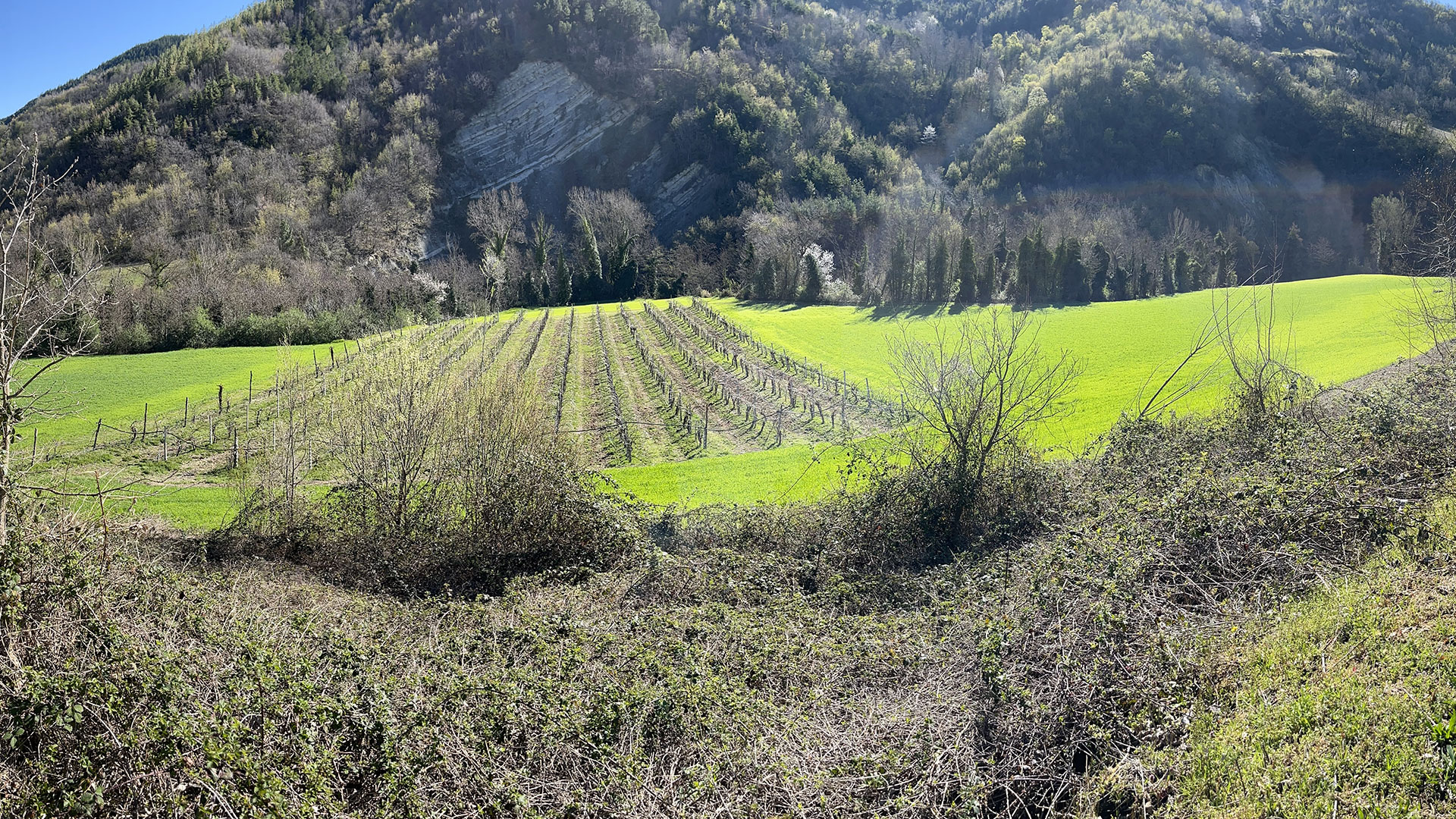 Intervento strutturale per l'approvvigionamento idrico di Tredozio e Modigliana